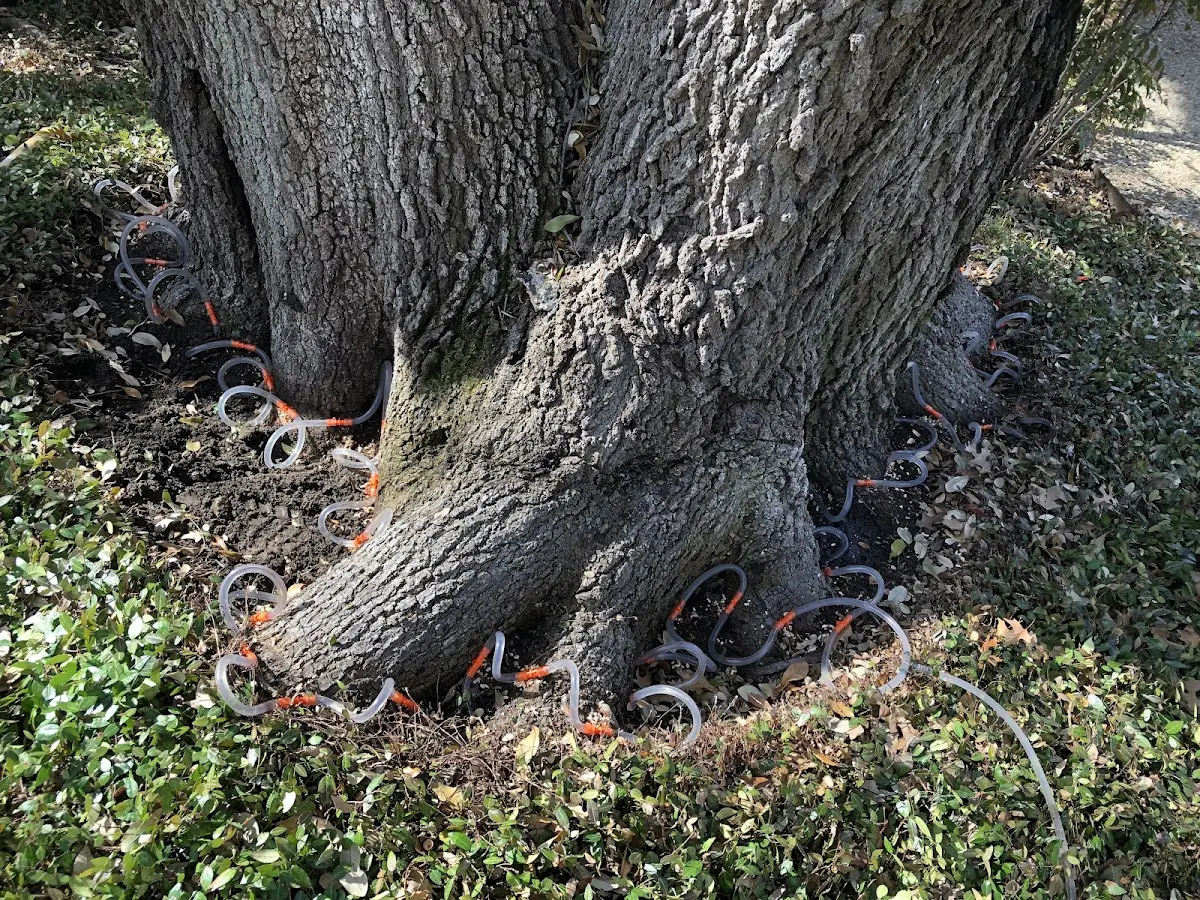 Detailed Shrub and Hedge Trimming job site in Soper